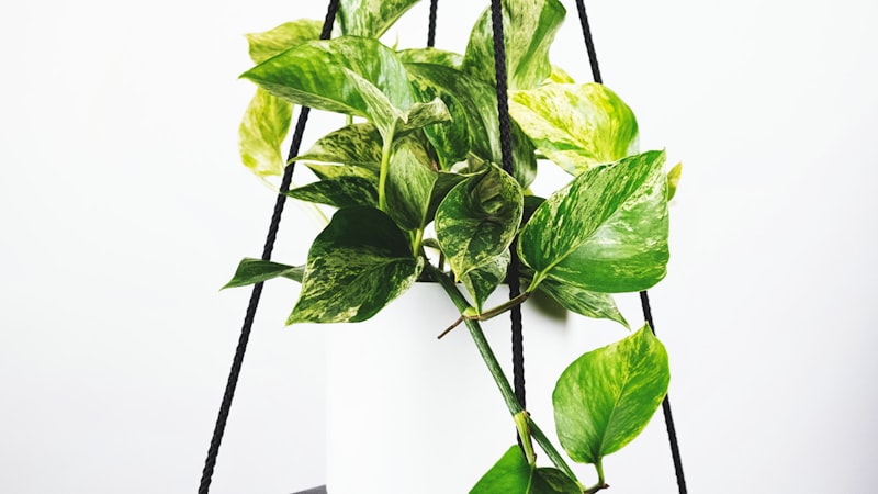 西甲联赛皇家马德里与巴塞罗那国家德比比赛画面